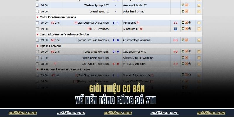 Giới thiệu cơ bản về nền tảng bóng đá 7M